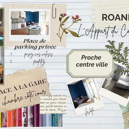 L'appart Du Cours * Roanne